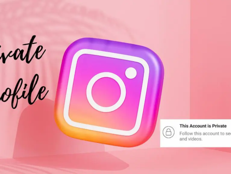 Behind the Screen: Private Instagram Viewer Insights