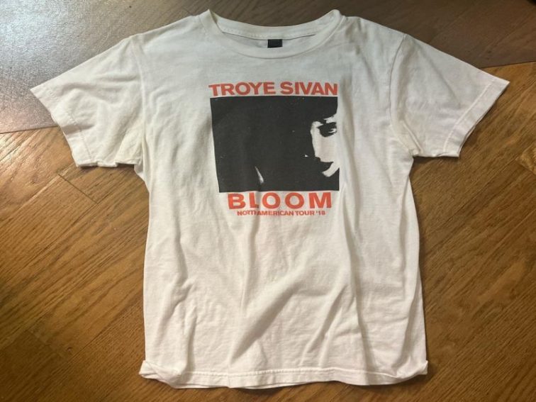 Inside Look at Troye Sivan's Official Shop: Exclusive Products and Offers